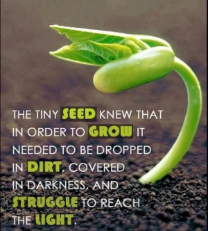 Found on Uploaded by user