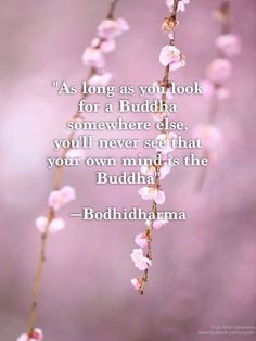 Your own mind is the Buddha.