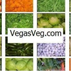 Road Trip To Visit Best Friends Animal Sanctuary & Zion National Park ...