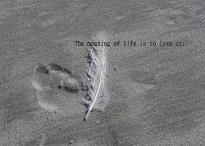 Feather Print Quote Photograph