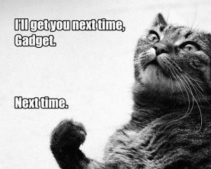 cats quotes inspector gadget Knowledge Quotes HD Wallpaper
