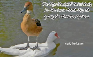 Telugu Quotes On Friendship
