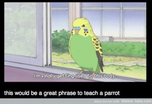 And The Parrot Funny Pictures Quotes Images
