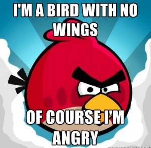 Why Angry Birds Are So Angry?