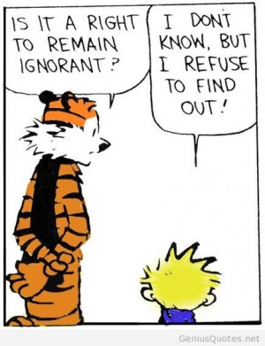 Calvin and Hobbes cartoon quote. Calvin and Hobbes cartoon ...