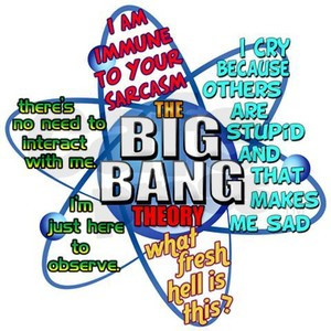 Big Bang Theory Quotes Pillow Case