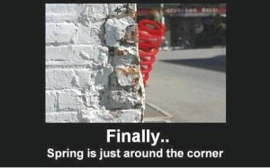... Funny Pics, Corner, Funny Pictures, Funny Stuff, Humor, Spring, Funny