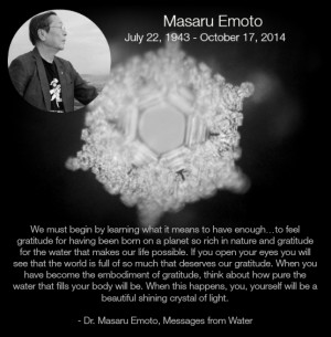 Through Dr. Emoto's work with the consciousness of water, he brought ...