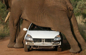 SIGN UP FOR THE NEW UBERHUMOR NEWSLETTER