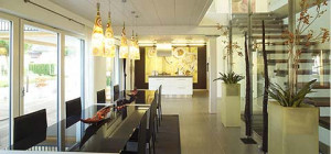 ... farmer market chicago daley plaza richard j daley library bridgeport