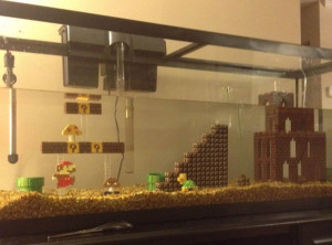 Super Mario Bros. aquarium DIY project is one you’ll definitely want ...
