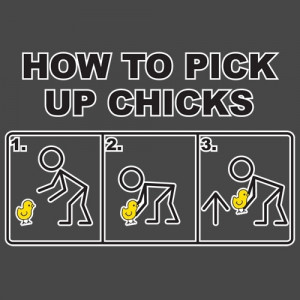HOW TO PICK UP CHICKS T-SHIRT