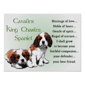 cavalier_king_charles_spaniel_gifts_poster ...