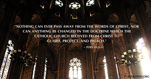 nothing-can-ever-pass-away-from-the-words-of-christ-pope-pius-ix.jpg