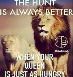 life quotes lion 434534 pixel queens awesome quotes the hunting is ...