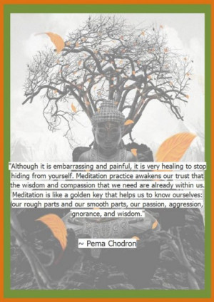 ... parts, our passion, aggression, ignorance and wisdom. - Pema Chodron