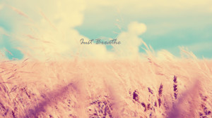 breathe whatever you re doing right now take a deep breath than ...