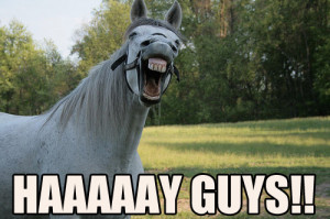 Most funny animal memes and humor pics