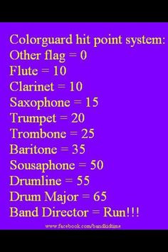 Colorguard Hit Point System. LOL! If I hit my band director it would ...