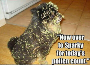 For today's pollen count...
