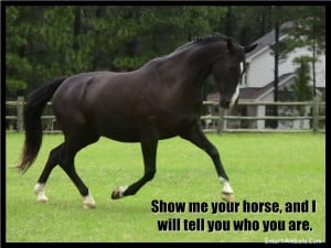 Horse Pictures With Quotes Show me your horse, and i will