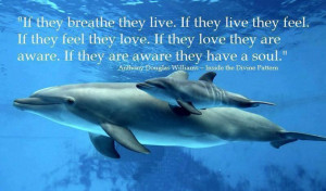 Already have an account? Log in now