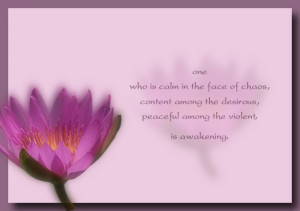 One who is calm in the face of chaos… Awakening quote
