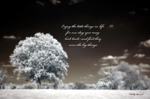 Surreal Infrared Trees With Inspirational Message Photograph - Surreal ...