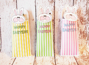 Easter Ideas Candy Pockets Easter Bunny Party Favor Ideas Candy Pocket