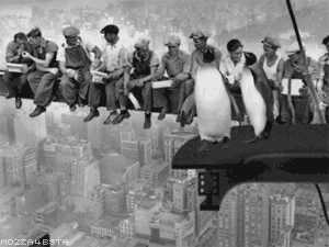 NY-Penguins.gif]Penguin suicide.