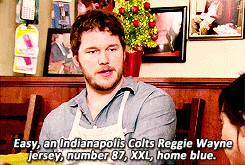 Andy Dwyer Quotes