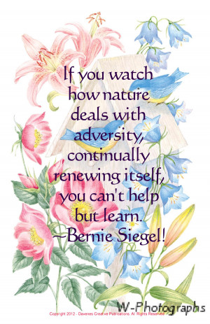 If You Watch How Nature Deals With Adversity, Continually Renewing ...