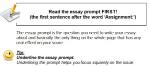 Comments Off on SAT Essay: Analyzing the Question