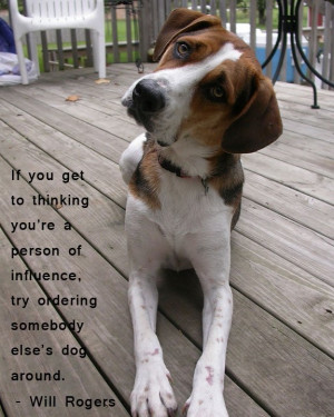 ... Of Influence, Try Ordering Somebody Else’s Dog Around. - Will Rogers