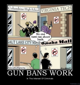 gun-bans-work-gun-control-ban-2nd-amendment-political-poster ...