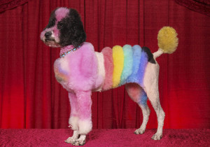 Inspirational Quotes Pictures