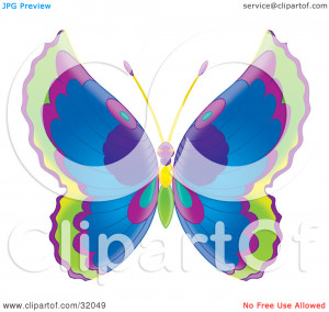 ... Green-Purple-And-Blue-Wings-And-A-Purple-Yellow-And-Green-Body