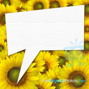 ... Yellow Sunflower Petals Closeup Background With Quote Stock Photo