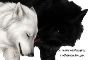 Dr Tran Naruto opening Empty FIghting games Sweet