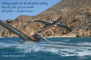 Flying might not be all plain sailing, but the fun of it is worth the ...