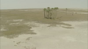 footage-desert-oasis-sand-arid-humid-a-spanning-view-of-a-desert-oasis ...
