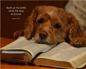 Isaiah 55:6, Dog & Bible