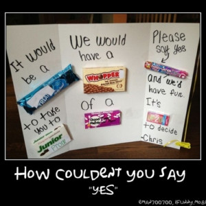 will ask me to prom, I don't care if you do this or not, but do ask ...