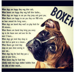 And that's the honest to God truth about boxers lol gotta love them