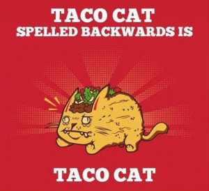 Description : funny taco quotes,funny rooster facts,funny bollywood ...