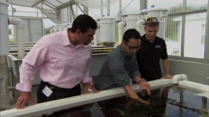 Friday Smorgasbord: World Oceans Day, ORA toured on TV, surfing Alaska ...