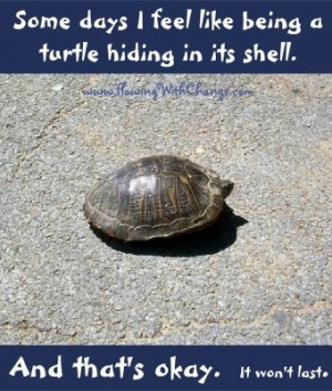 Turtle hiding in shell quote via www.FlowingWithChange.com