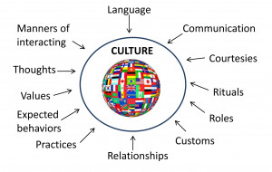 You are here: Home » Blog » Cultural and Linguistic Competence in ...