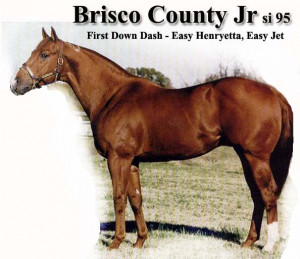 Briscoe County Jr