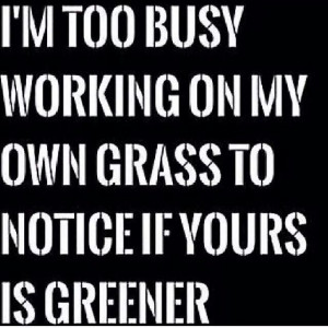 too busy working on my own grass to notice if yours is greener ...